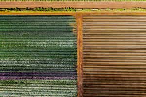 Aerial view of different coloured fields near the Werribee river in New South Wales, Australia